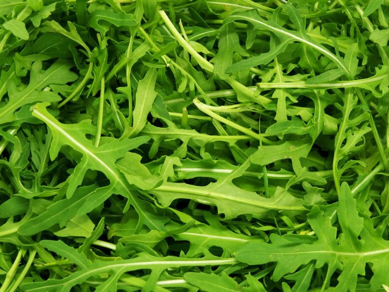 arugula