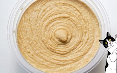 Can Cats Eat Hummus – How Much Is Hummus Dangerous