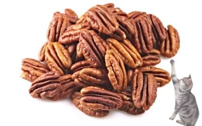 Can Cats Eat Pecans? A Comprehensive Guide to Feline Nutrition