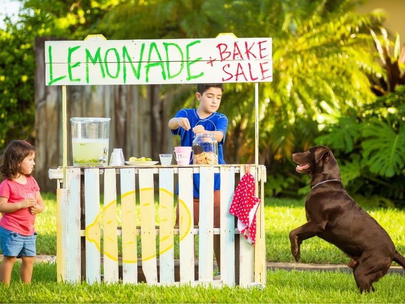 can dogs drink lemonade