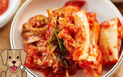 Can Dogs Eat Kimchi? Find Out the Surprising Answer!