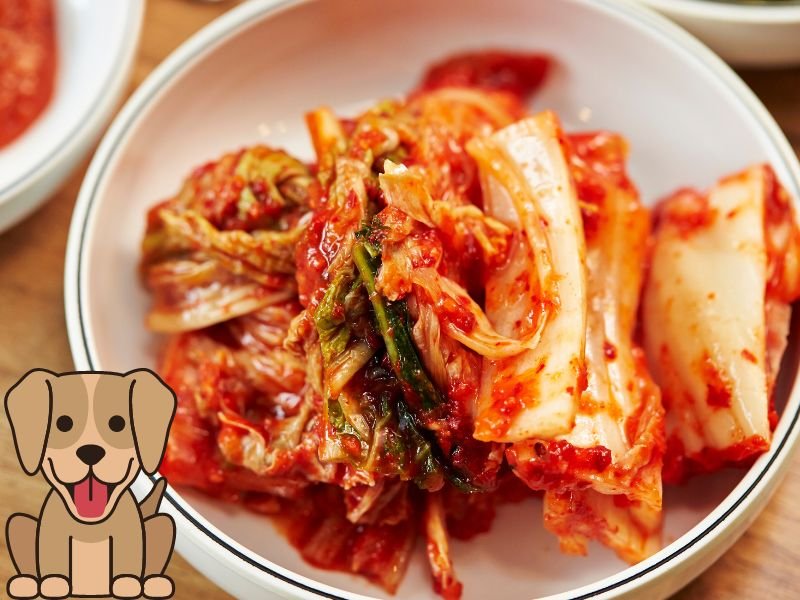 can dogs eat kimchi