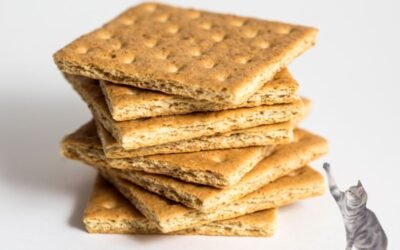 Discover the Surprising Truth: Can Cats Eat Graham Crackers?