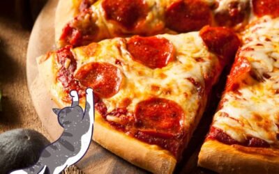 Can Cats Eat Pepperoni – Surprising Revelation