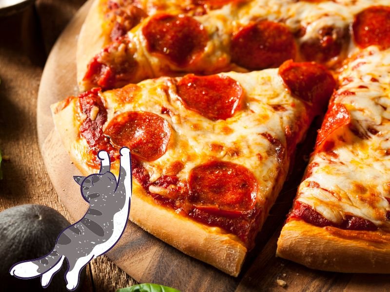 Can cats eat pepperoni