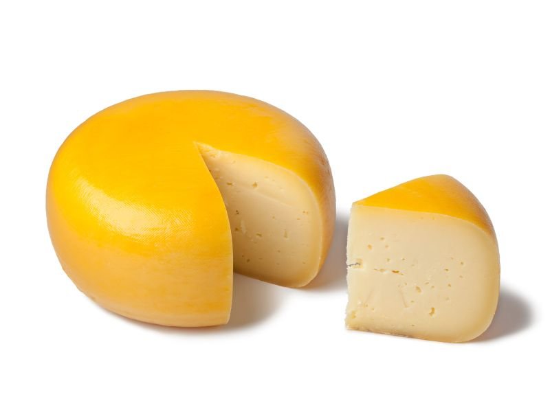 gouda cheese