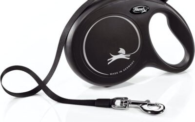 Flexi Dog Leash Review: Evolution in Leash Technology