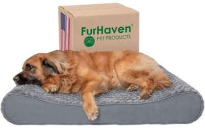 Furhaven Orthopedic Dog Bed Review – Top 6 Features You Should Know