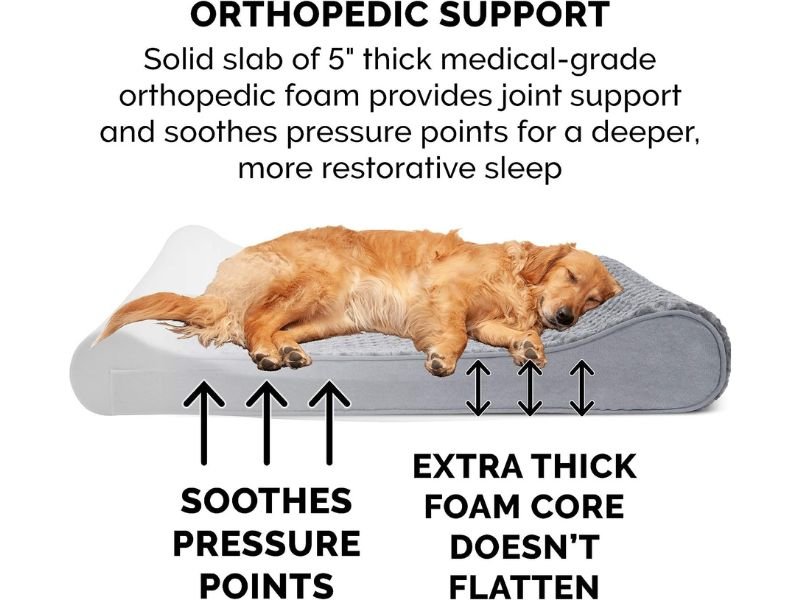 orthopedic support for your dog