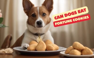 Can Dogs Eat Fortune Cookies? Essential Guidelines For Pet Owners